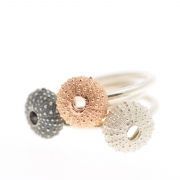 AlexYule3 Urchin ringsRose