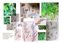 background_enchanted_VForrester1